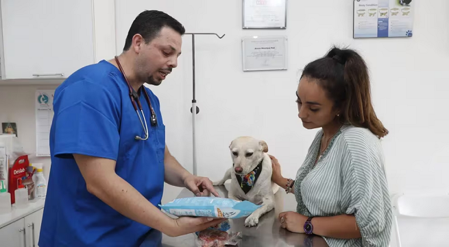 Campaña veterinaria gratuita para mascotas este sábado 7 de septiembre en San Martín de Porres