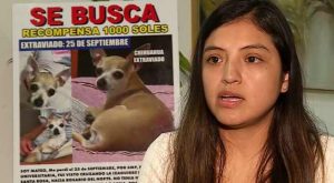 Extorsionan a familia por perro chihuahua perdido en SMP