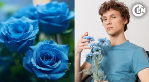 ¿Por qué se regalan flores azules a los hombres todos los 3 de octubre?