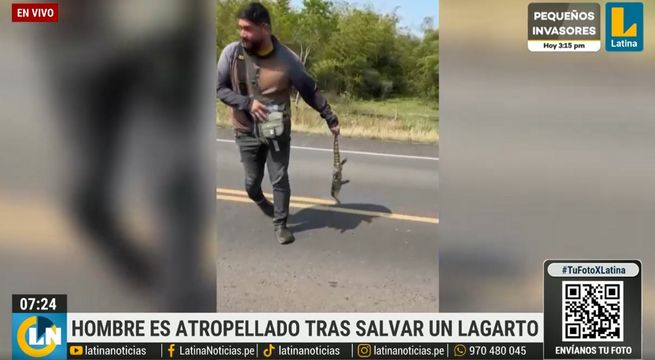 Hombre intenta salvar un lagarto y termina siendo atropellado | VIDEO