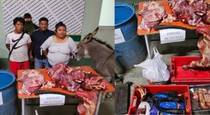 Incautan más de 500 kilos de carne de burro, perro y caballo en camal clandestino