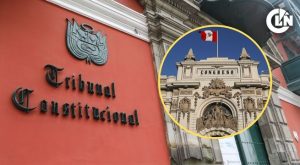 tribunal constitucional congreso poder judicial jnj