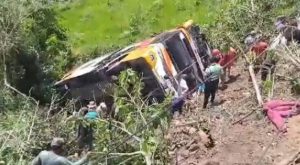 Profesora pierde a sus 2 hijos en accidente: bus cayó a abismo dejando 12 fallecidos