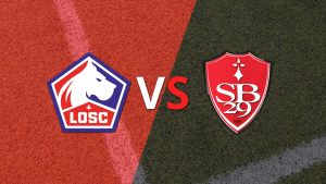 Francia – Primera División: Lille vs Stade Brestois Fecha 14