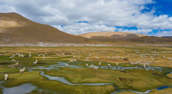 Arequipa: destinan más de s/ 8 millones para la conservación fuentes de agua