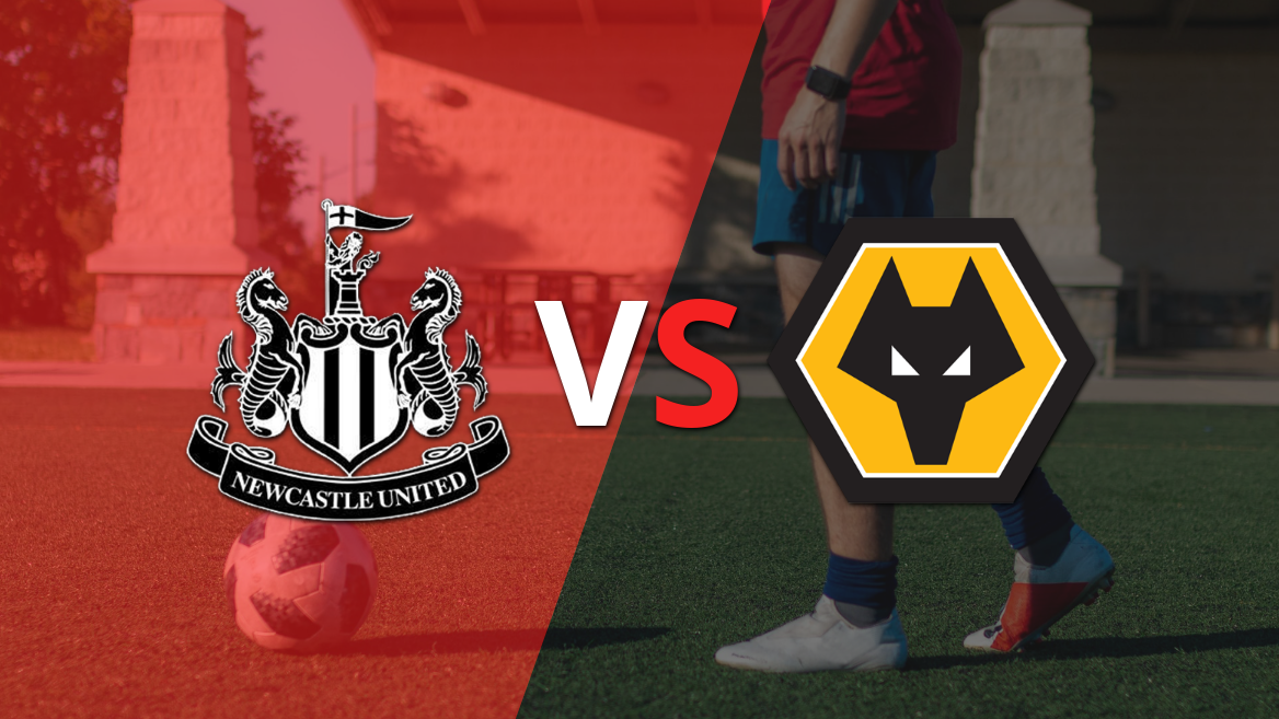 Newcastle United quiere seguir su racha positiva ante Wolverhampton