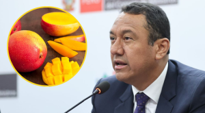 Gobierno pide suspender siembra de mangos por 3 años: esta es la razón