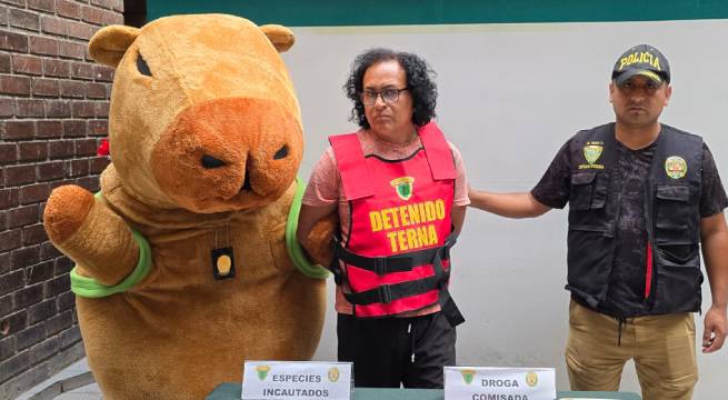 ‘Capibara del Amor’ intervino a sujeto: pensó que le llevaban sorpresa por San Valentín