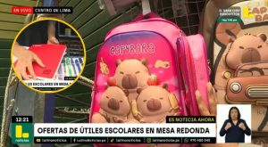 Lanzan ofertas de útiles escolares en Mesa Redonda: mochilas de capibara son la sensación