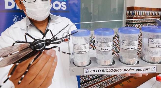 Más de 3 mil personas beneficiadas con donaciones para combatir el dengue y la malaria