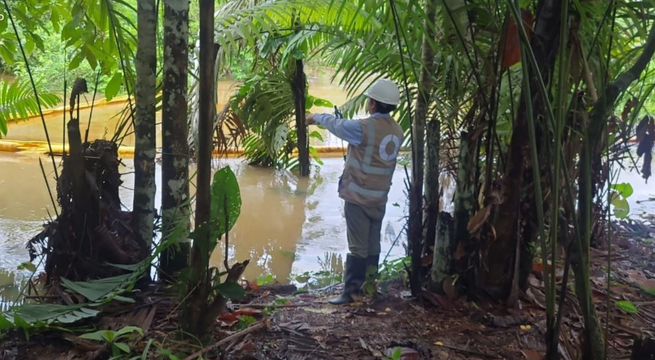 Supervisan impacto por nuevo derrame de petróleo en Oleoducto Norperuano en Amazonas