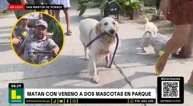 Denuncian que vecino está envenenando a mascotas que pasean por el parque [VIDEO]