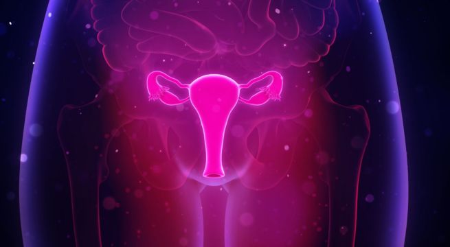 Día Mundial de la Prevención del Cáncer de Cuello Uterino: los puntos claves sobre su impacto