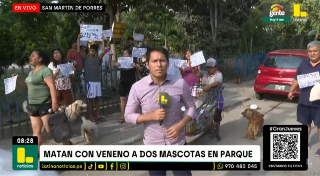 SMP: vecinos protestan tras muerte de mascotas a causa de envenenamiento